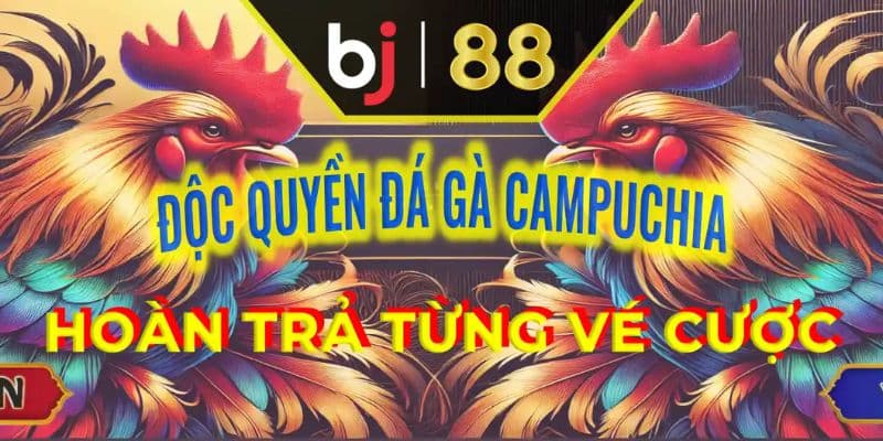 BJ88