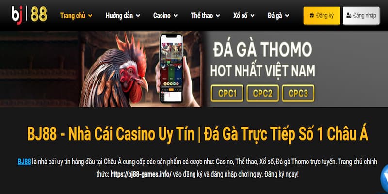 Tổng quát về nguồn gốc và uy tín của sảnh cược BJ88